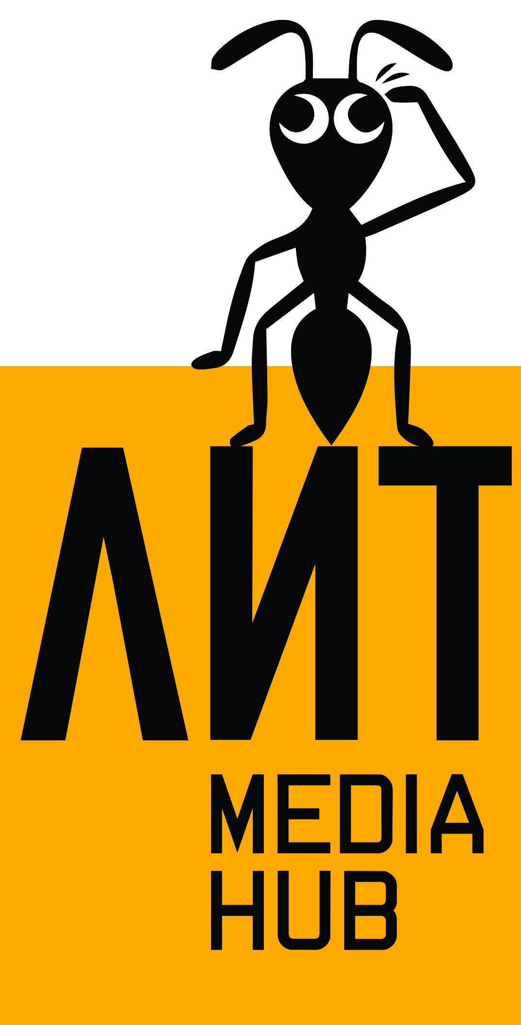 Ant Media Hub